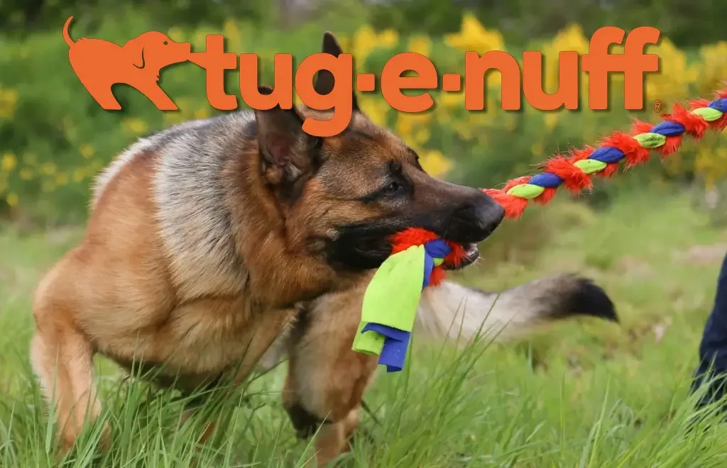 German Shepherd playing with Tug-E-Nuff strong dog toy
