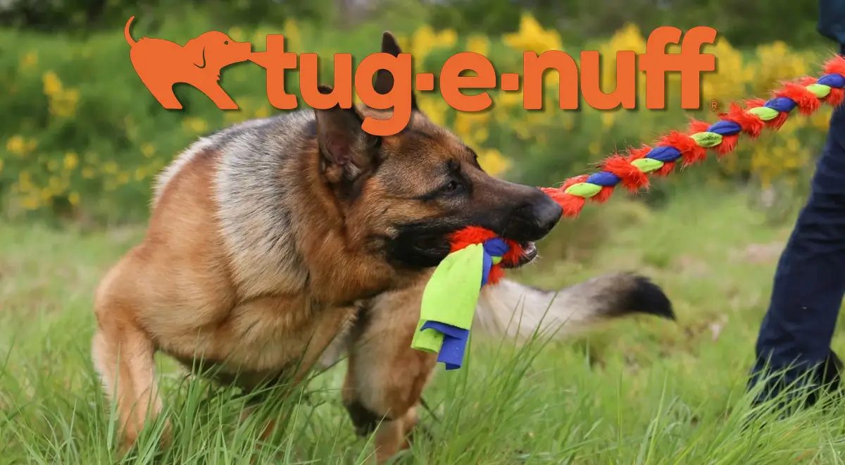 German Shepherd playing with Tug-E-Nuff strong dog toy