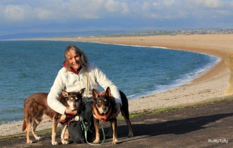 Linda Stevenson, Co-Founder of Dog Friendly Social